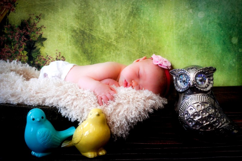 Jacksonville North Carolina Newborn Photographer