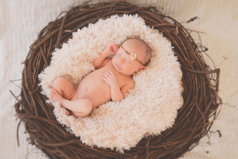 Newborn Photographer Jacksonville NC