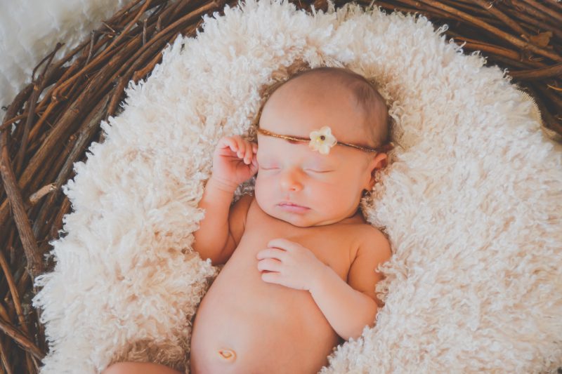 Newborn Photographer Jacksonville NC