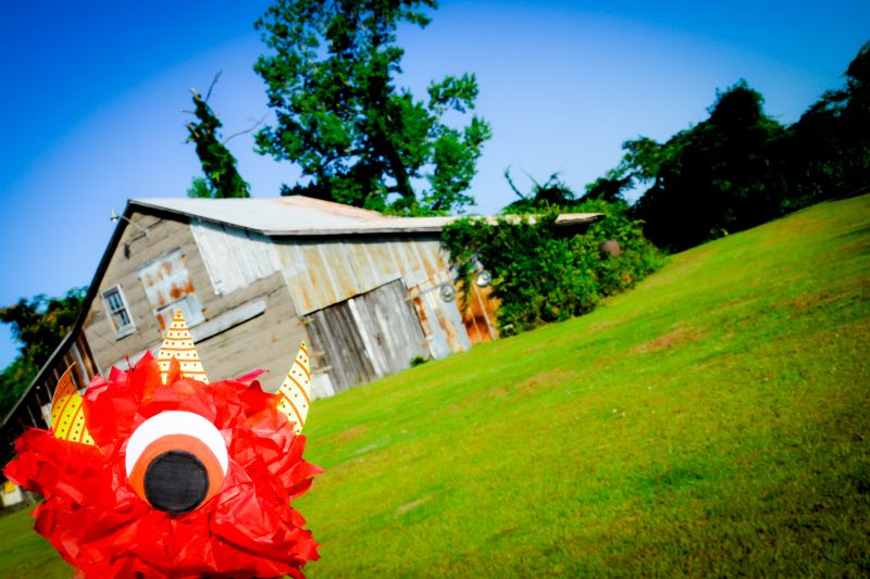 Newborn Photographer Jacksonville NC